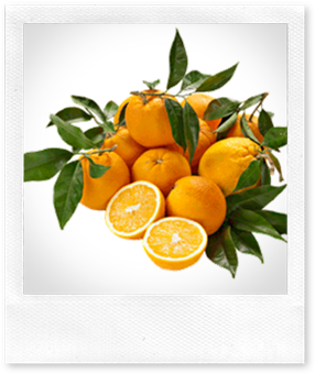 Naturasì: 1 kg. di arance biologiche in omaggio