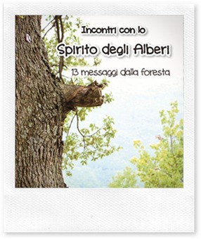 Libri da leggere: Incontri con lo Spirito degli Alberi