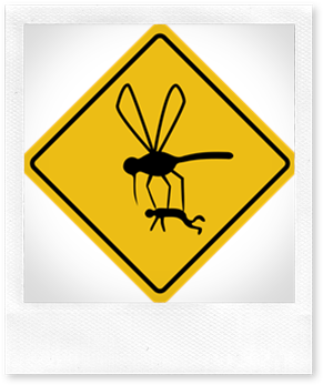 MosquitoHazard.png