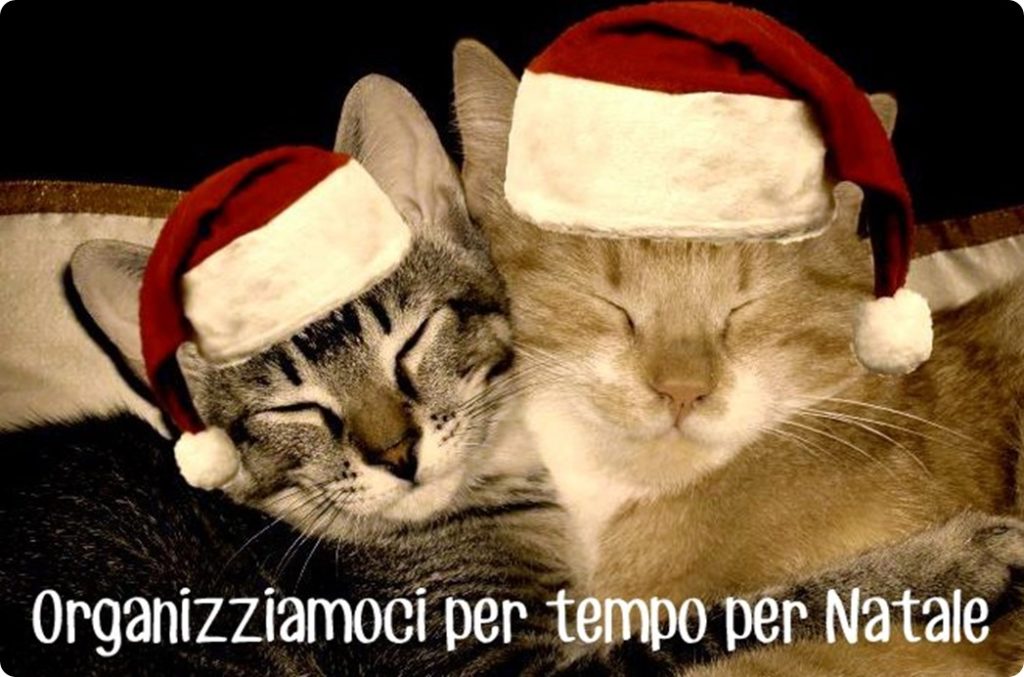 Organizziamoci per tempo per Natale