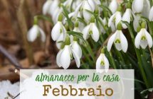 Almanacco di Febbraio per la casa