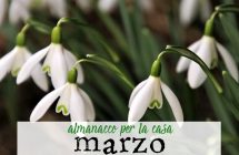 Almanacco di Marzo per la casa