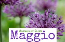 Almanacco per la casa di maggio