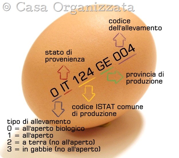 Come scegliere le uova più sane e nutrienti