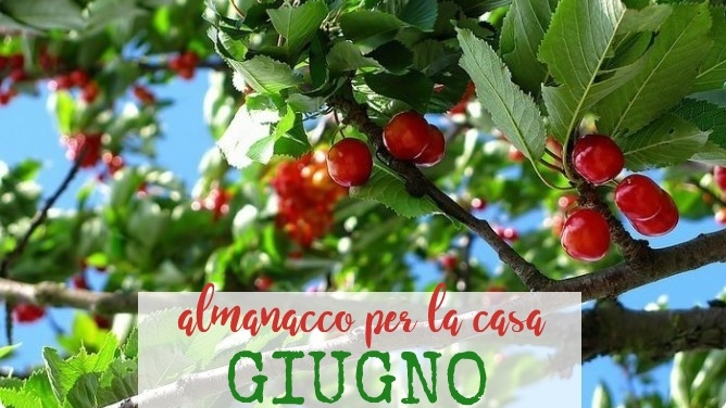 almanacco per la casa – GIUGNO