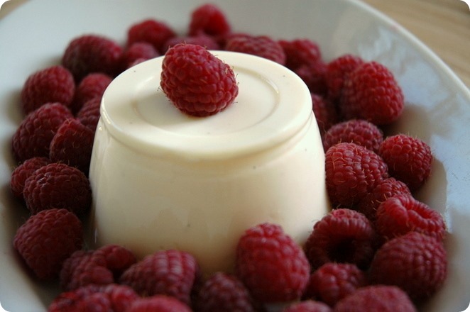 Ricette veloci: la panna cotta facile facile