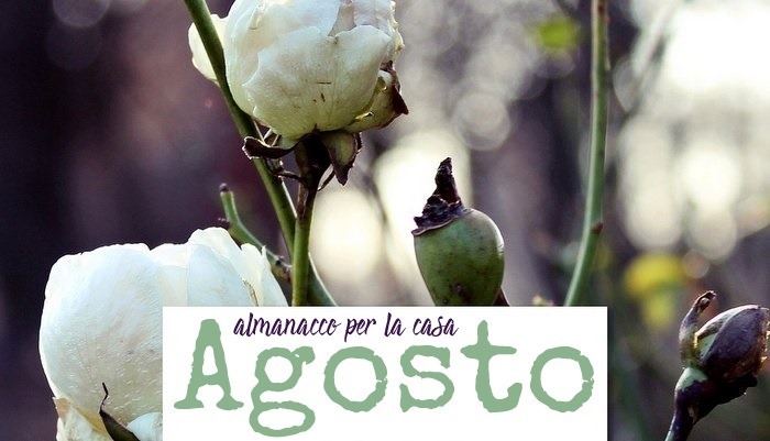 Almanacco di Agosto per la casa