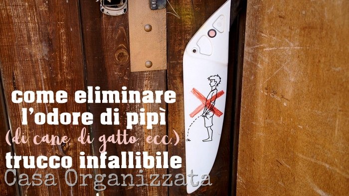 Trucco infallibile come eliminare l'odore di pipì di cane, gatto (anche umana)