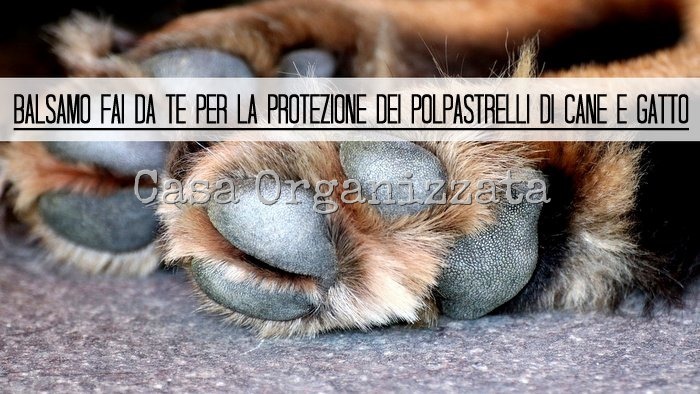 Autoproduzione Balsamo Fai Da Te Per Proteggere I Polpastrelli Di Cane E Gatto Casa Organizzata