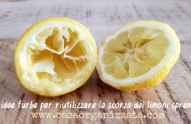 Come riutilizzare i limoni spremuti, 28 idee utili e furbe