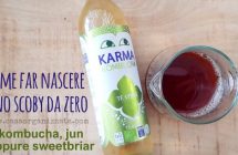 Come far nascere uno scoby da zero kombucha, jun sweetbriar