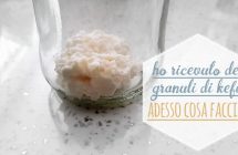 kefir di latte cosa fare quando ti arrivano i granuli a casa