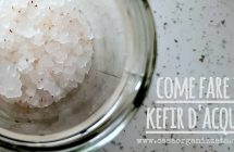 come fare il kefir d’acqua