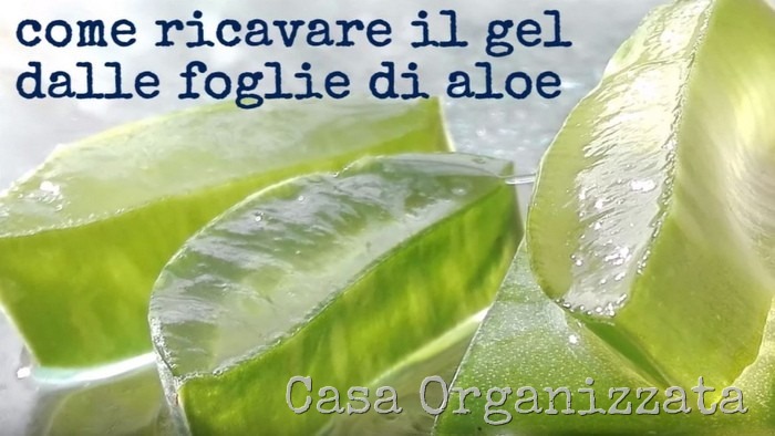 come estrarre il gel di aloe vera dalle foglie e come conservarlo-001