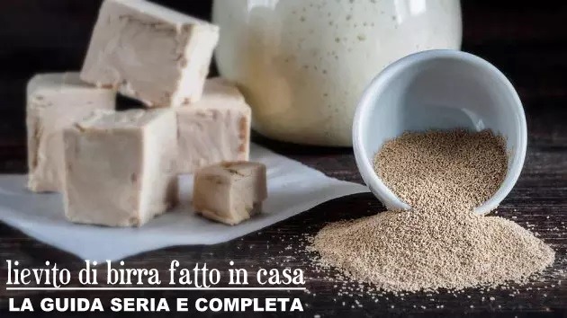 lievito di birra fatto in casa la guida seria e completa