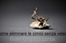 Come-eliminare-e-dissuadere-le-cimici-senza-veleni.jpg