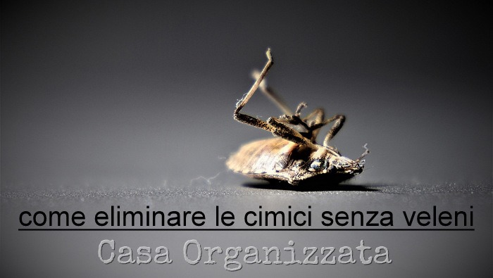 Come eliminare e dissuadere le cimici senza veleni