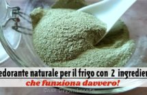 deodorante-fai-da-te-per-il-frigorifero-con-2-ingredienti-faicli-che-funziona-davvero.jpg