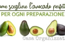 Come-scegliere-lavocado-giusto-per-ogni-ricetta.jpg